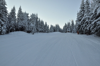 Ski Telnice Erzgebirge weiße Skipiste verschneite Bäume im Erzgebirge