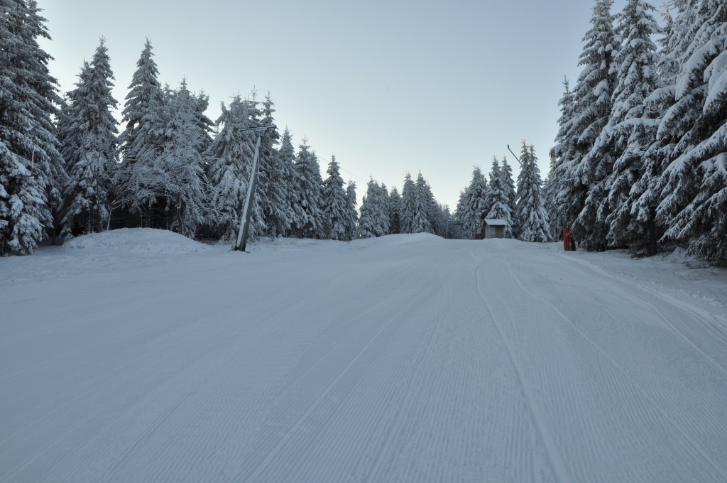 Winterlandschaft, verschneite Bäume und blauer Himmel im Hintergrund, im Vordergrund Schlepplift und eine Skipiste