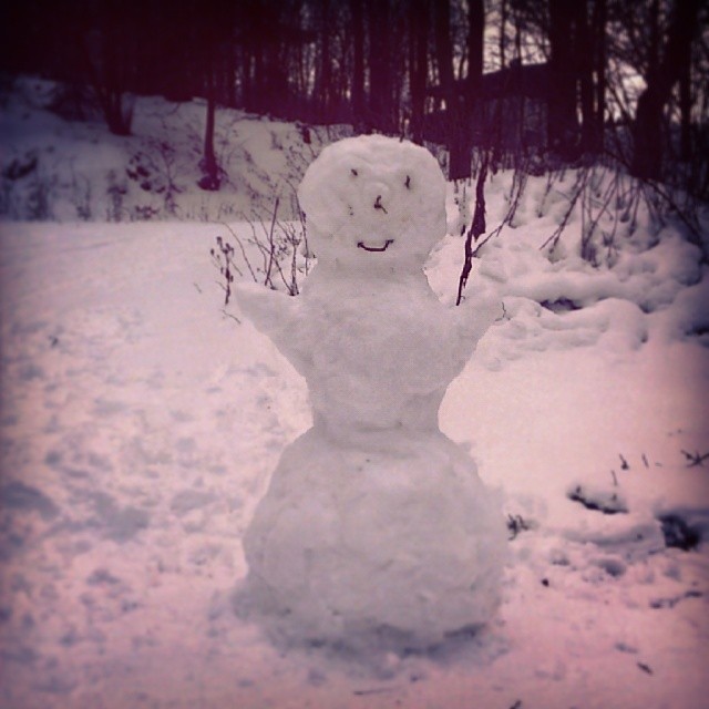Snowman is waiting in Zadni Telnice