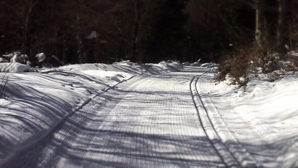 Langlauf, Cross Country Skiing, Wetter sonnig, Loipe gespurt, fehlt Altenberg, Wir wissen was spass macht