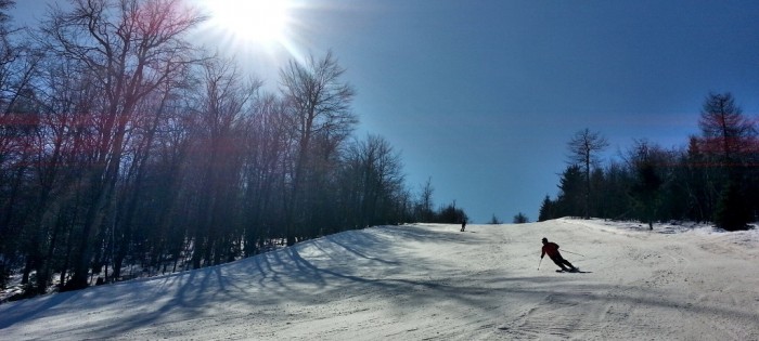 Skifahrer carving, Piste, Sportlich, Winterwetter, Sonnenschein, keine Wolke zu sehen