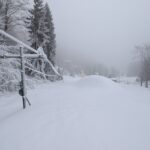 PXL_20251124_113650870